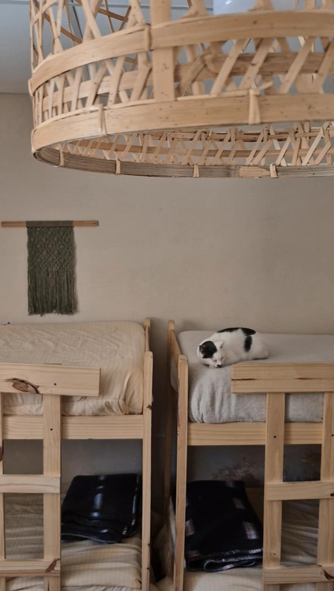Mestiza Hostal Humahuaca Dış mekan fotoğraf